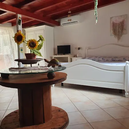 Chalet Con Giardino
