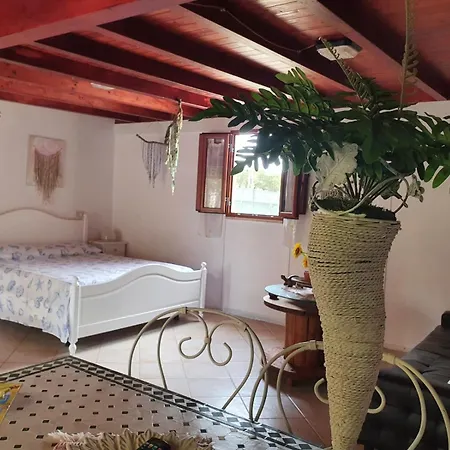 Apartment Chalet Con Giardino